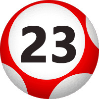 23